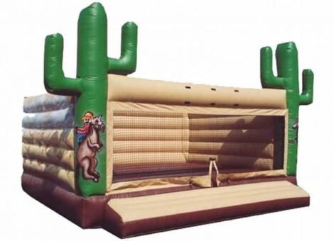 Desert Bouncy castle