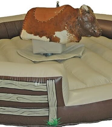 Mechanical Bull ( Rodeo Bull ) with Mechanical Surfboard for Sale