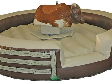 Electric Bull ( Rodeo Bull ) on Sale with Surfboard