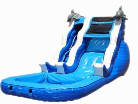 Inflatable Dolphin Water Slide