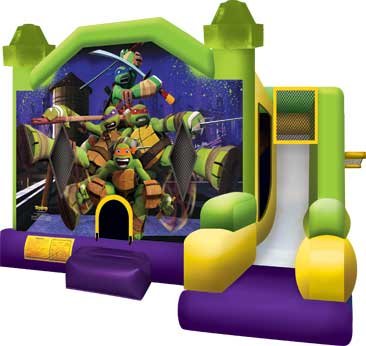 Teenage Mutant Ninja Turtles bouncy castle Combo