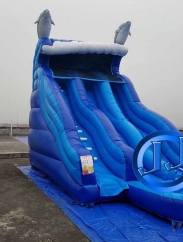 Ocean Wave Dual Lane Water Slide With Dolphins