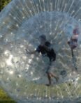 zorbing-on-ground-ball